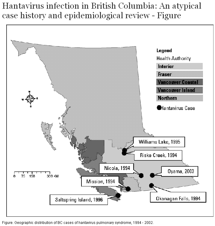 Hantavirus Diagram