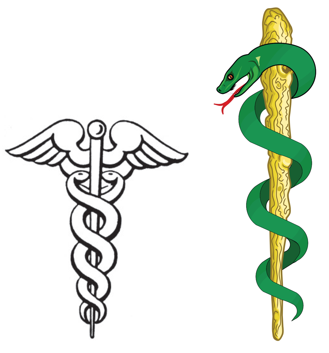 A rod of Asclepius and a wand of Hermes (caduceus)