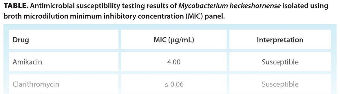 TABLE. Antimicrobial susceptibility testing results of Mycobacterium heckeshornense isolated using broth microdilution minimum inhibitory concentration (MIC) panel.