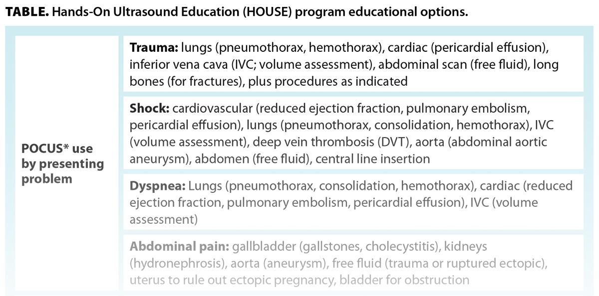 TABLE. Hands-On Ultrasound Education (HOUSE) program educational options.