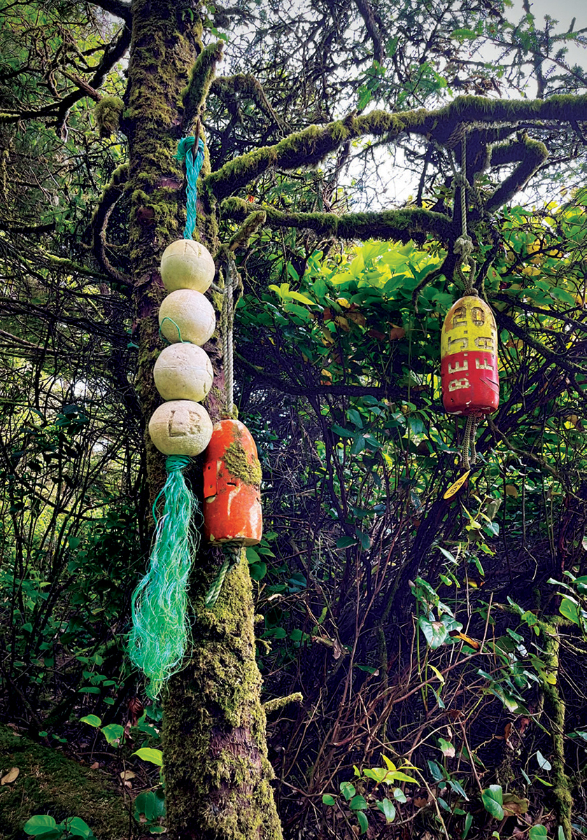 Buoys hang in a tree.
