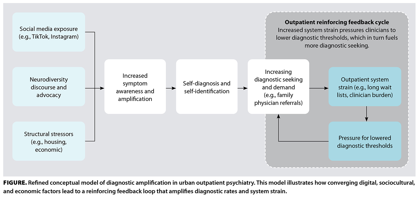 FIGURE. Refined conceptual model of diagnostic amplification in urban outpatient psychiatry.