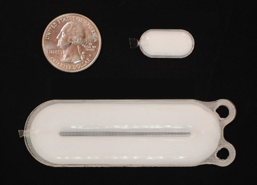 The dose-delivering unit (bottom) is about 7 cm long and is implanted along with a smaller sentinel device (top right). They are shown in comparison to a US quarter. (Credit: ViaCyte)