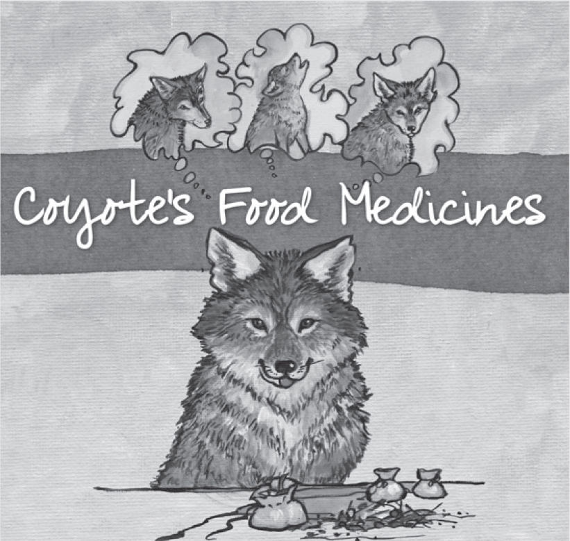 Coyote’s Food Medicines