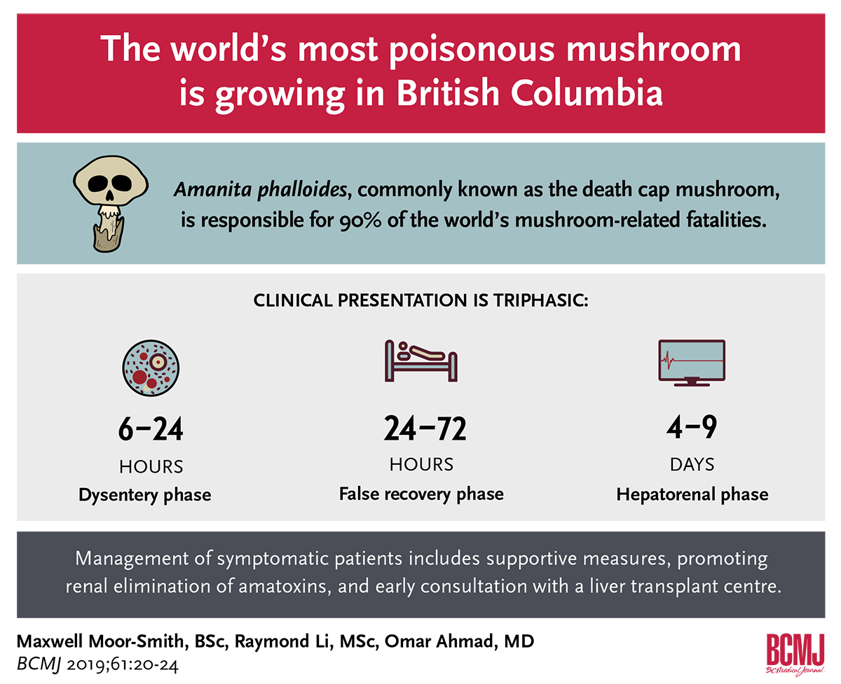 The world’s most poisonous mushroom is growing in British Columbia