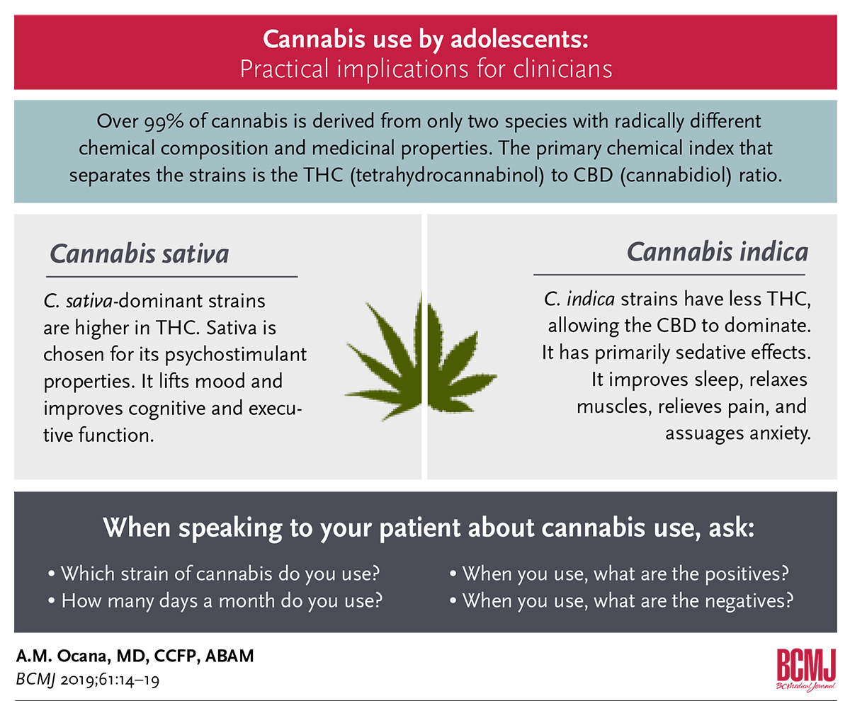 Cannabis use by adolescents: Practical implications for clinicians