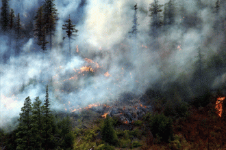 Forest fires BC
