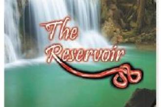 Book review: The Reservoir