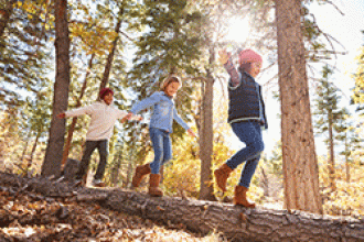 Children having fun walking across a fallen tree trunk in the forest