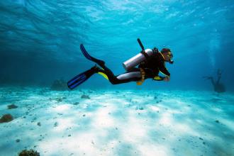 A scuba diver swims in the water