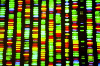 DNA sequence