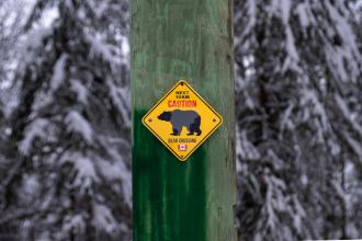 A sign on a tree with the word "Caution" and an illustration of a bear