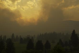 A smoky sky over a forest.