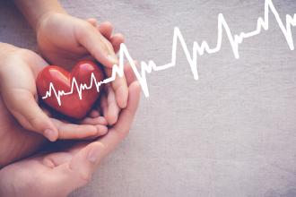 Adult and child hands holiding red heart with cardiogram