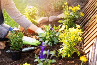 A woman working in the garden