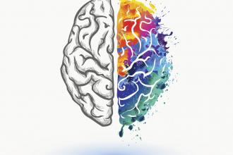 Dual diagnosis illustration of the brain - one hemisphere is colourful the other not