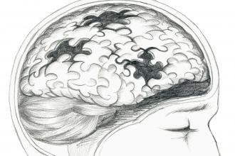 Sketch of the brain made up of puzzle pieces