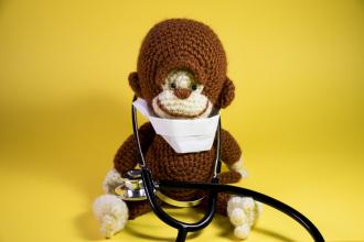 Medical Monkey stuffed toy panoramic. Cute plush brown monkey wearing a hospital mask and doctors stethoscope.