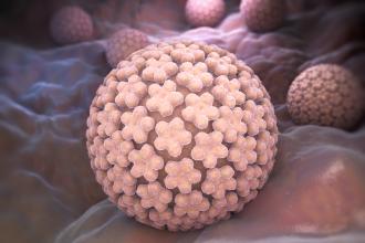 Human Papilloma Virus - HPV