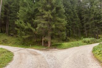 A single mountain road splits in two different directions. It's an autumnal cloudy day