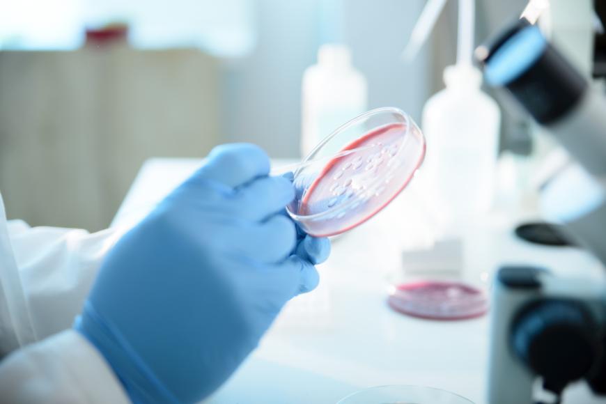 Practical tips for interpreting blood culture results