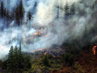 Forest fires BC