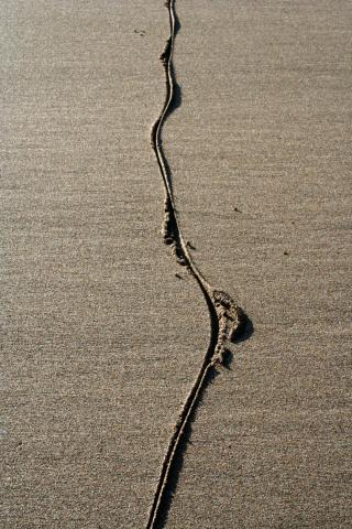 A line is drawn in wet sand