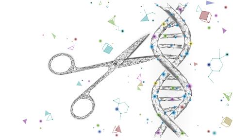 DNA structure with scissors