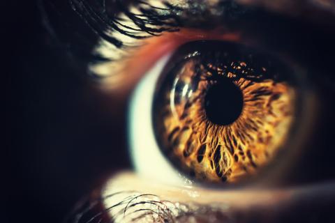 A closeup of an eye
