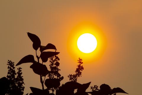 An orange sky with a bright sun