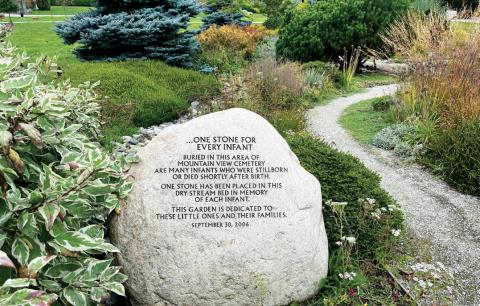 Mountain View Cemetery infant graves area in Vancouver, BC, that inspired the visual identity.
