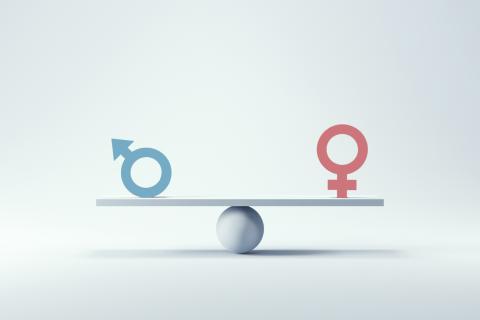 A platform is balanced on top of a ball, with a male symbol on one end and a female symbol on the other end.