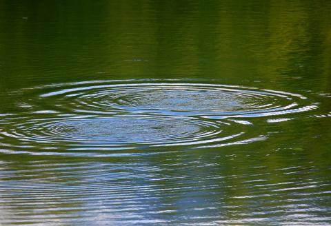 Ripples on blue-green water.