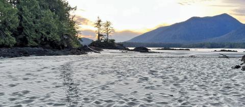A sandy beach with pine trees and mountains in the distance.