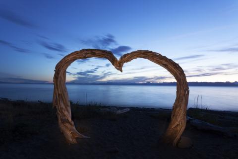 Two pieces of driftwood bent in toward each other to form a heart in Kin Beach Park in Comox Valley.