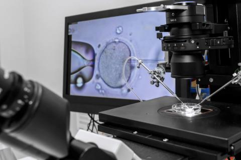 Computerized in vitro fertilization.