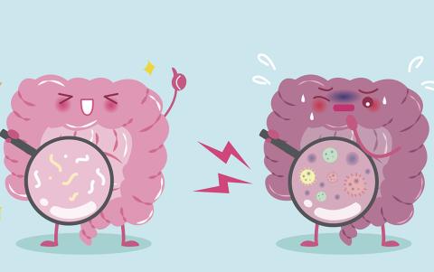 Evolutionary medicine: Does our microbiome hold the answers?