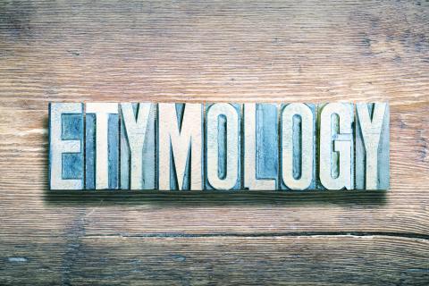 Etymology