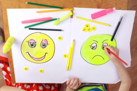 The development of emotional intelligence.