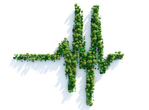 Heartbeat made from greenery, depicting the health