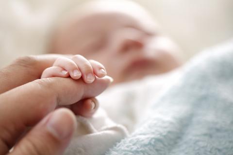 Newborn baby grasping parent's finger