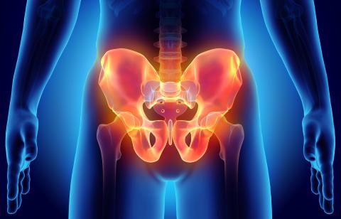 hip bone highlighted on blue background - pelvic pain