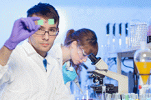 A scientist looks at a microscope slide
