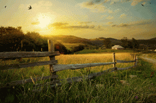 A country landscape with a field, a small house, and a wooden fence