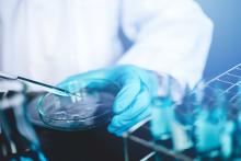 A scientist starts a culture in a Petri dish