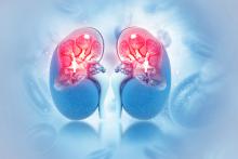 A medical illustration of the kidneys