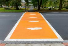 An orange crosswalk with white feathers.