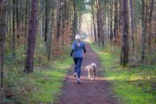 A woman running on a path with her dog.