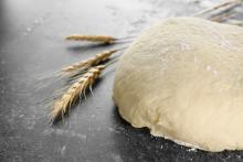 lump of fresh dough
