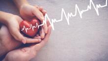 Adult and child hands holiding red heart with cardiogram